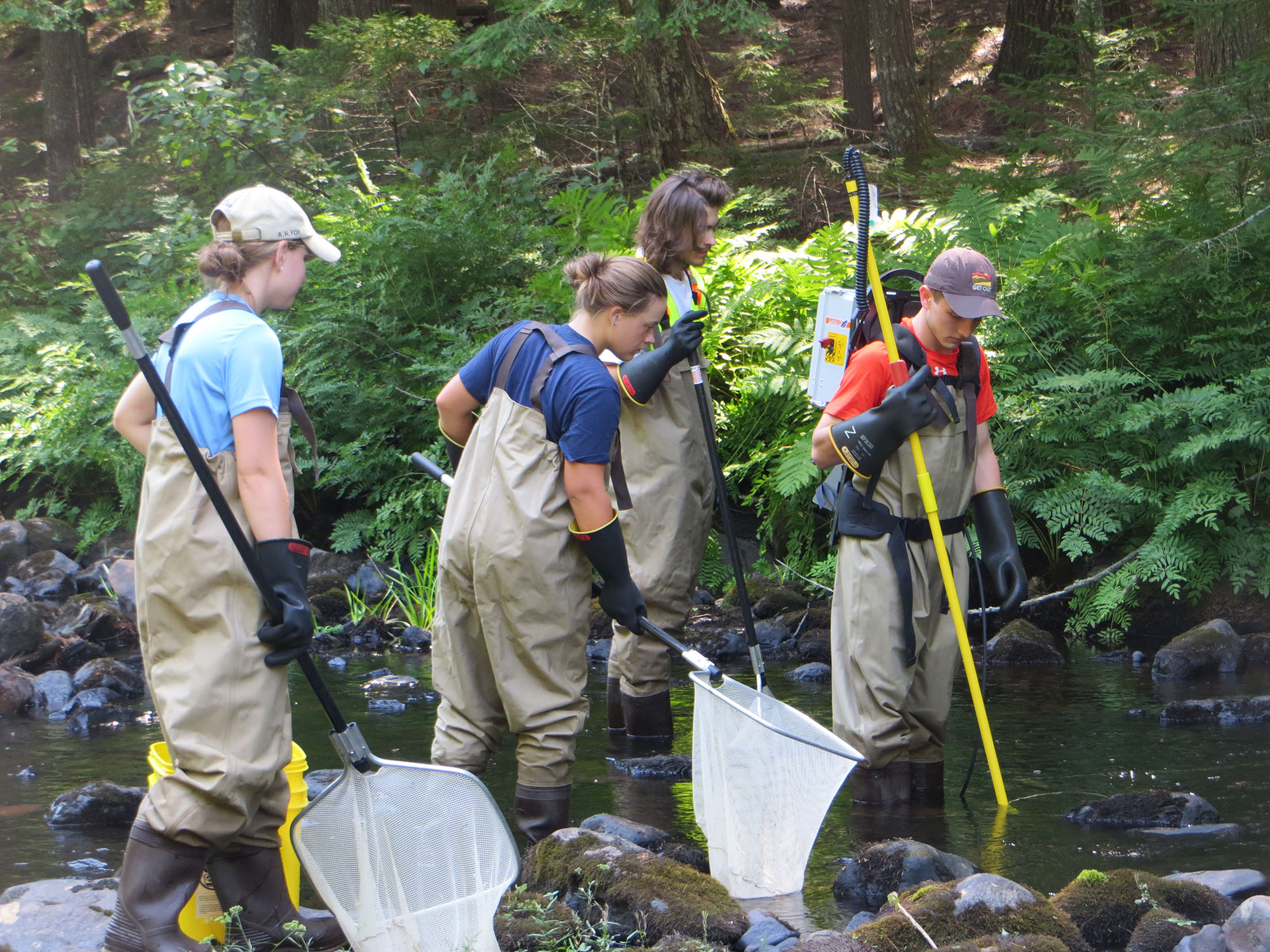 Field Experience School of Forest Resources University of Maine