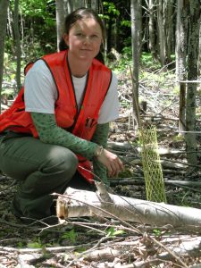 Kate Berven inspects fill planting