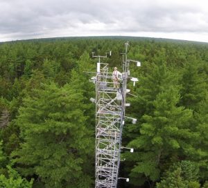 forest carbon dynamics image