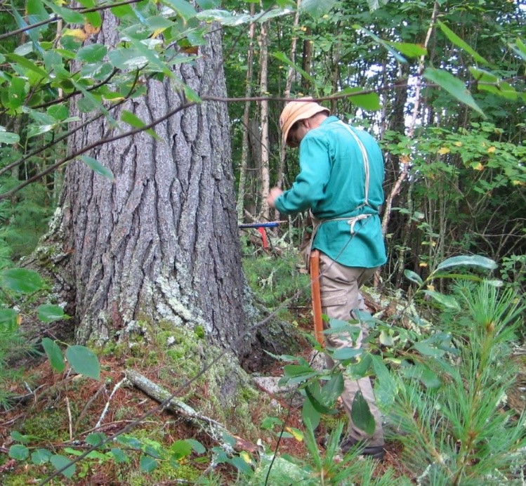 Shawn Fraver Research School of Forest Resources University of Maine