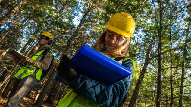 Amber Roth Deadwood Assessment Field work, Demeritt Forest