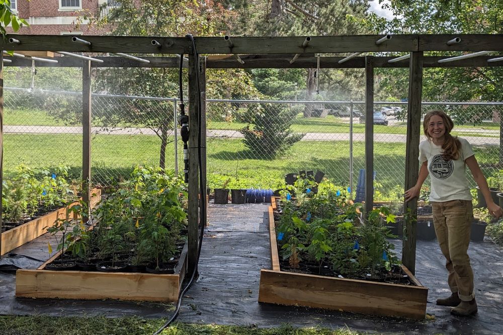 Image of greenhouse.