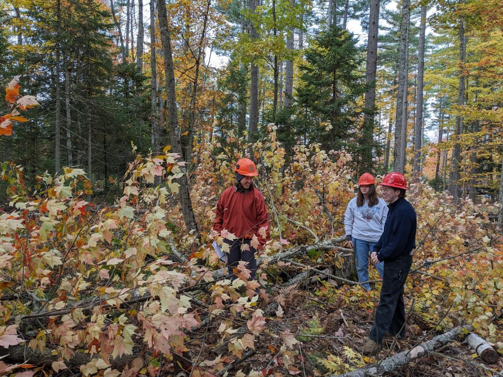 Students in Jay Wason's lab.
