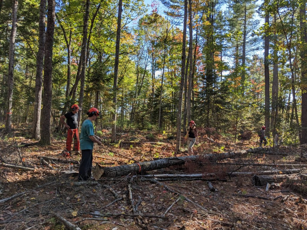 Students measuring downed woody debris in the woods.